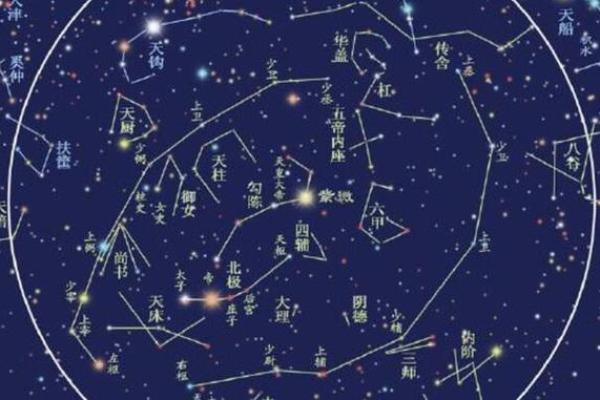 紫微斗数之疾厄宫与诸星，紫微星在疾病宫是什么意思？