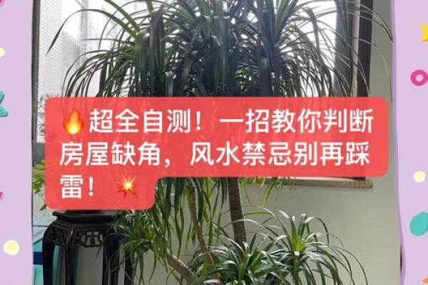 简单十步骤自查家中风水好不好