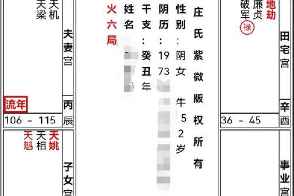 紫微斗数之财帛宫与诸星,七杀星在财帛宫是什么意思? 紫微斗数之财帛宫与诸星,七杀星在财帛宫是什么意思?