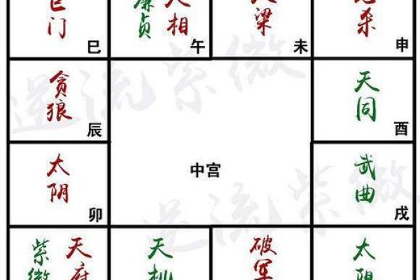 紫薇斗数明星盘 紫薇斗数明星盘