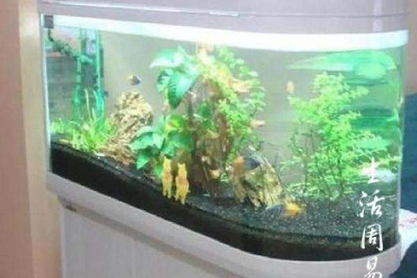 客厅鱼缸风水上应该如何摆放