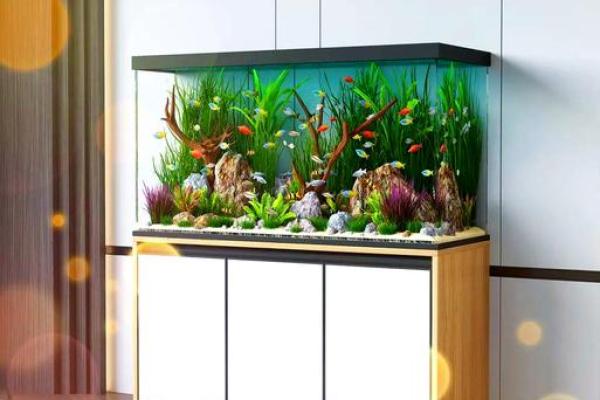 客厅鱼缸风水上应该如何摆放