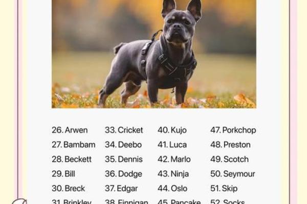 五月份出生的属狗男孩应该如何取名字姓名 五月份出生的属狗男孩应该如何取名字姓名