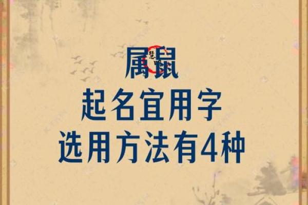 怎么给上午10点出生的属鼠男孩起名最好姓名 怎么给上午10点出生的属鼠男孩起名最好姓名