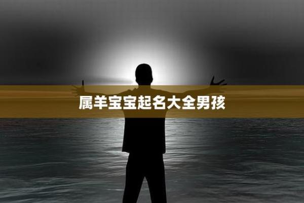 上午11点出生的属羊男孩如何起名，宜用什么字姓名