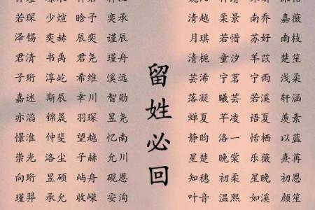 2019年3月23号辛时出生的男孩如何起名姓名