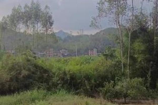 看山地风水_古语明堂如播米