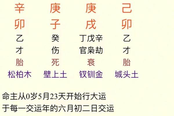 人生的八字好命运就好