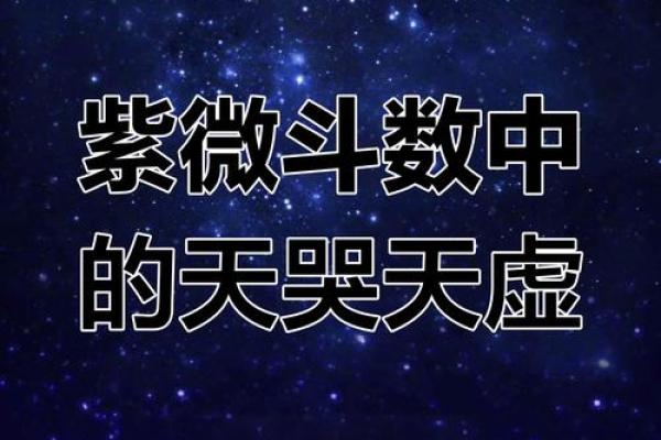 天虚紫薇斗数