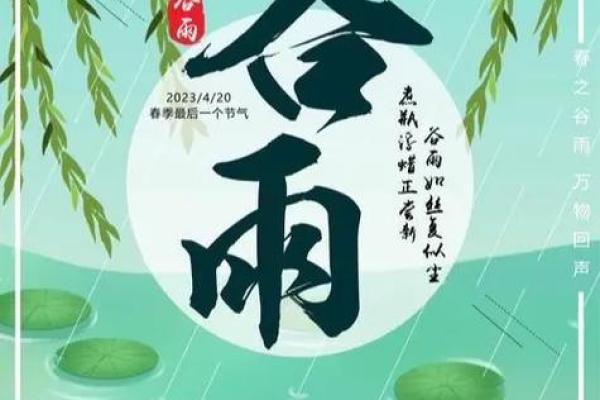 谷雨有什么民俗 谷雨的四言绝句