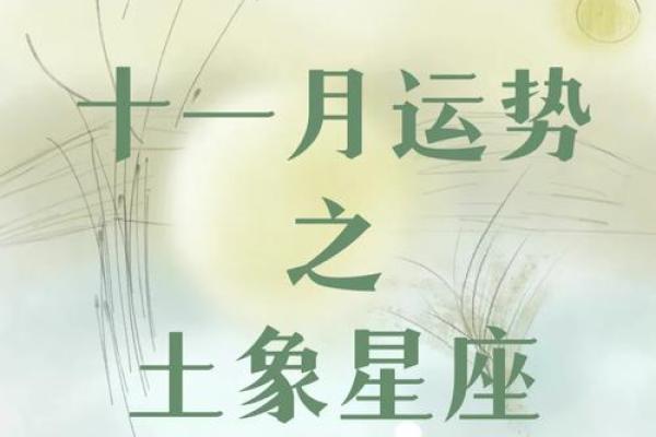 十一月八号生的是什么星座 十一月八号出生的人