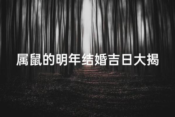 润5月份结婚吉日 2025年润五月属鼠最佳结婚吉日