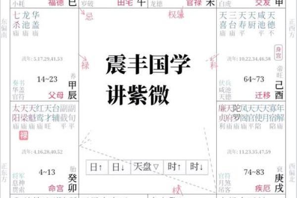 紫薇斗数知识资源