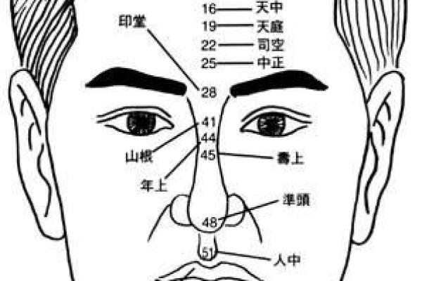 看相算命图解
