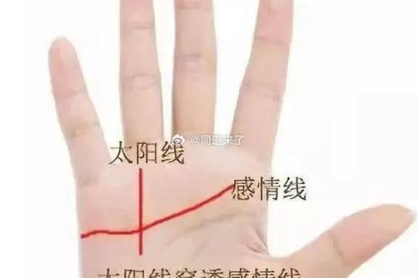 《手相学习百科》：太阳线