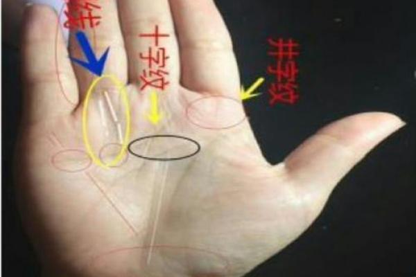 《手相学习百科》：太阳线