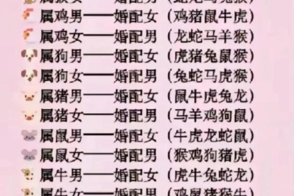十二生肖配对歌看看你和TA的缘分有多好