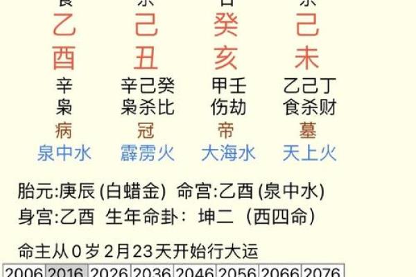 八字命理：癸巳日出生人的命运