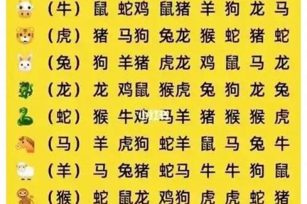 属虎和什么属相最配对 属虎和什么属相相冲
