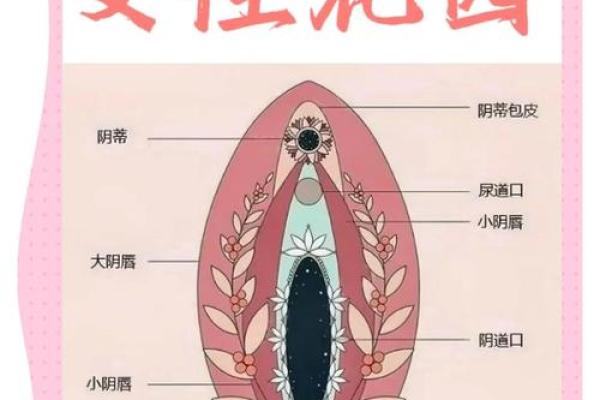 探索女性私密能量在风水中的重要性