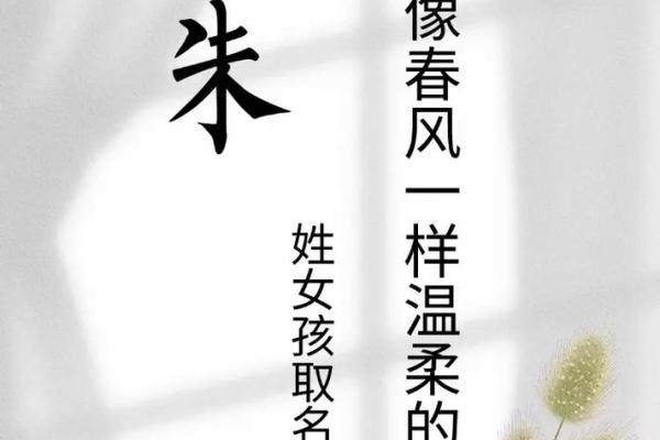 朱姓名字男女配对 朱姓配什么字取名有意义？
