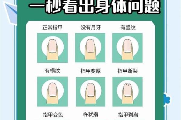 《手相学习百科》：指甲