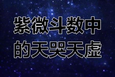 天虚紫薇斗数