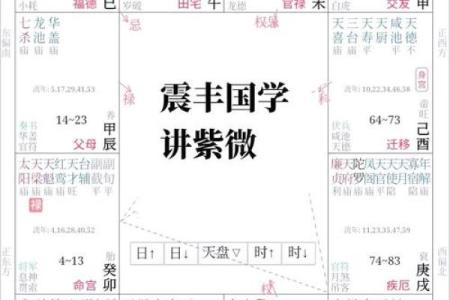 紫薇斗数知识资源