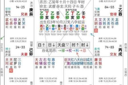 斗数紫薇阁