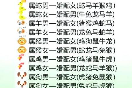 2025年属猪的几月结婚最佳 95年属猪的最佳配偶