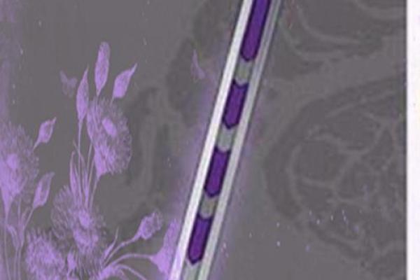 第125章 紫薇星斗剑