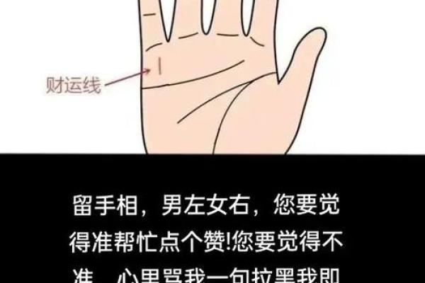 《手相学习百科》：手的形状