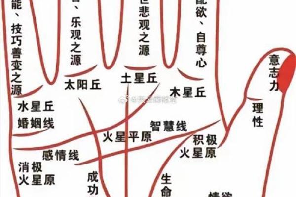 《手相学习百科》：手的形状