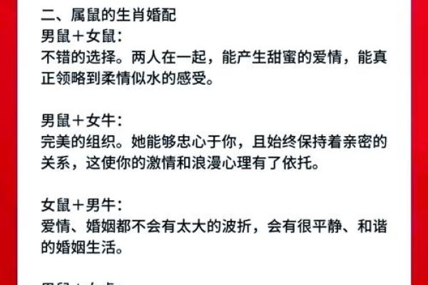 鼠跟什么生肖配对最好 生肖鼠最佳配对