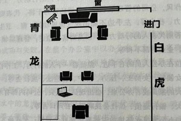 如何根据办公室的风水原则来摆放花卉
