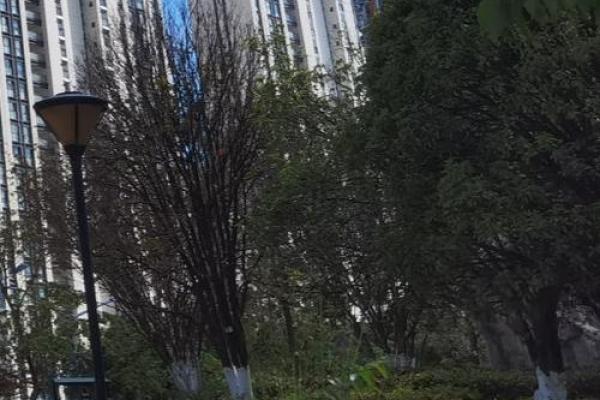 这些失恋风水？你的家里存在吗