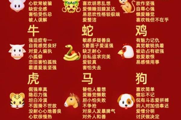 十二生肖配对指数大揭秘