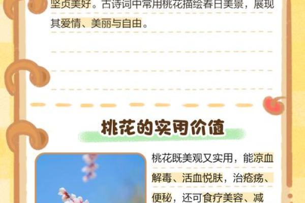 廿四山的桃花方位,桃花方位怎么确定