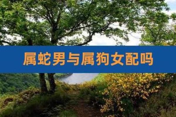属蛇男婚姻最好的婚配属相 属蛇男与什么属相配对最佳