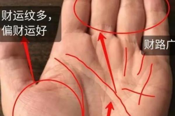 《手相学习百科》：手相看事业、职业