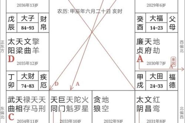 紫微斗数孤 紫微斗数孤辰在夫妻宫？