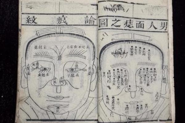 风水入门书籍_相术风水类小说