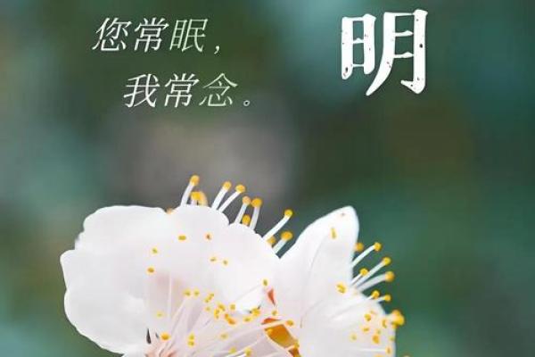 清明节是传统的重大春祭节日