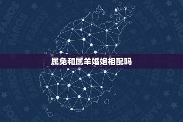 女羊男兔生肖配对姻缘 属羊女与属兔男婚姻配对详解