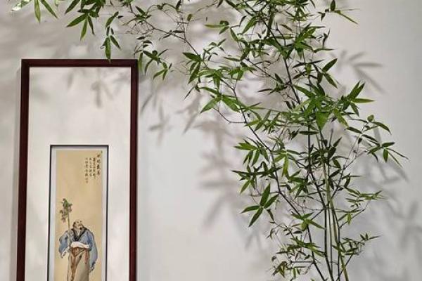 家里装修放什么植物，对风水好