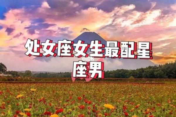 处女座男和什么座最配对,处女座男和什么座最配