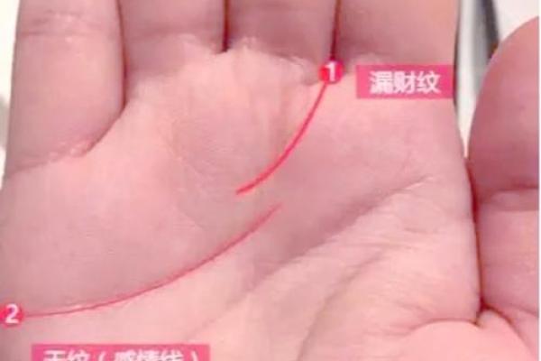 《手相学习百科》：手相看财运和好运