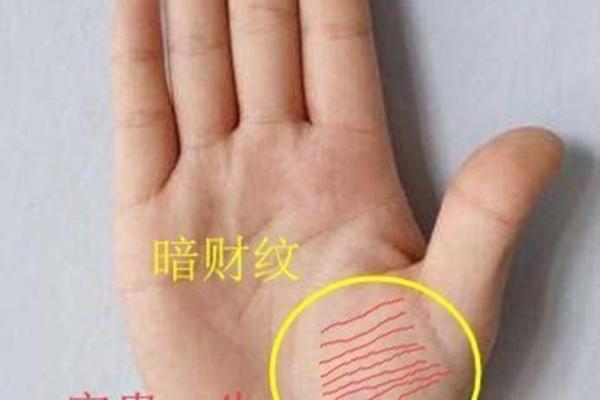 《手相学习百科》：掌丘