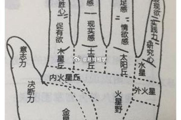 《手相学习百科》：掌丘
