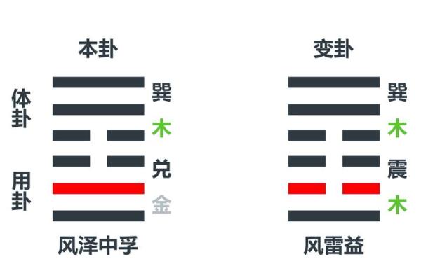 紫薇斗数和梅花易数哪个准